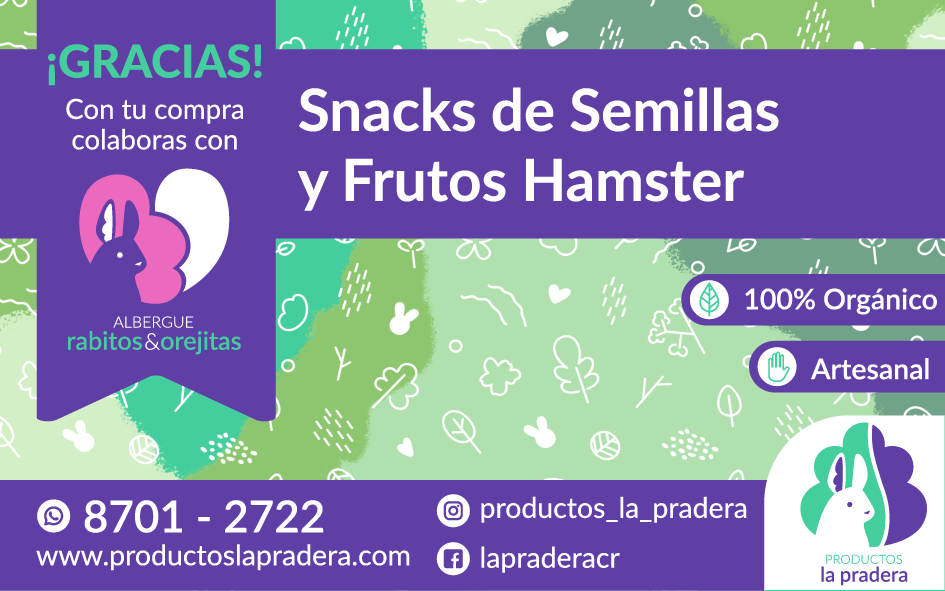 Snacks de semillas y frutos para Hamster