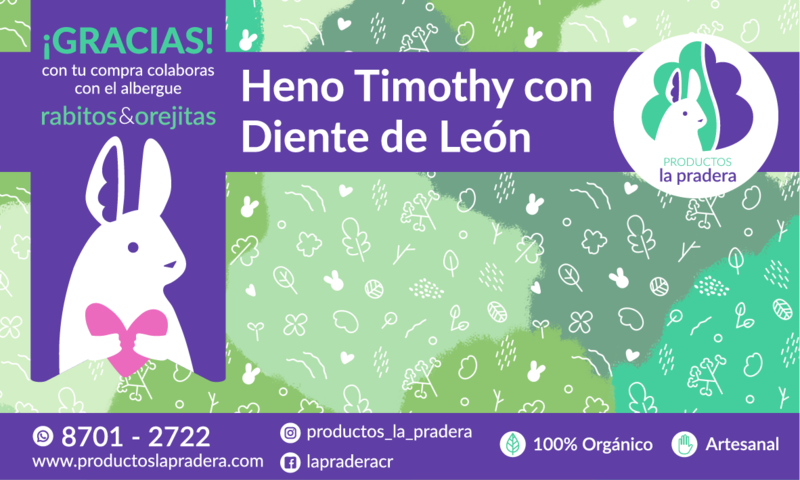 Heno natural y timothy  con Diente  de León