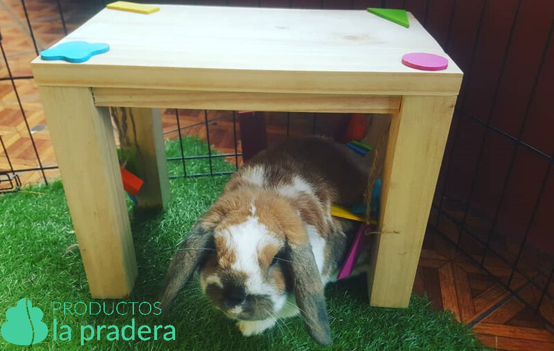 Mesa de entretenimiento para conejos y Roedores