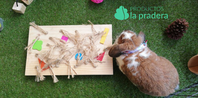Juguete alfombra magica de madera para conejos y roedores