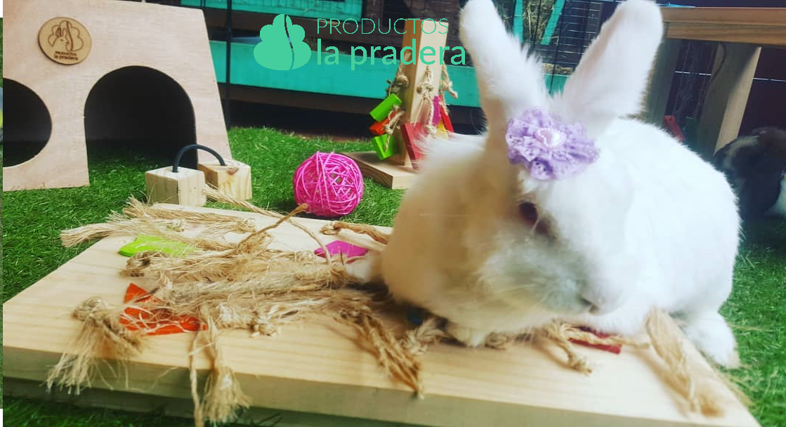 DULALA 3pcs Alfombrillas de Conejo Alfombrillas para Conejos Masticar Juguetes para Conejos alfombras de Conejo seguras y comestibles para jaulas Conejito 