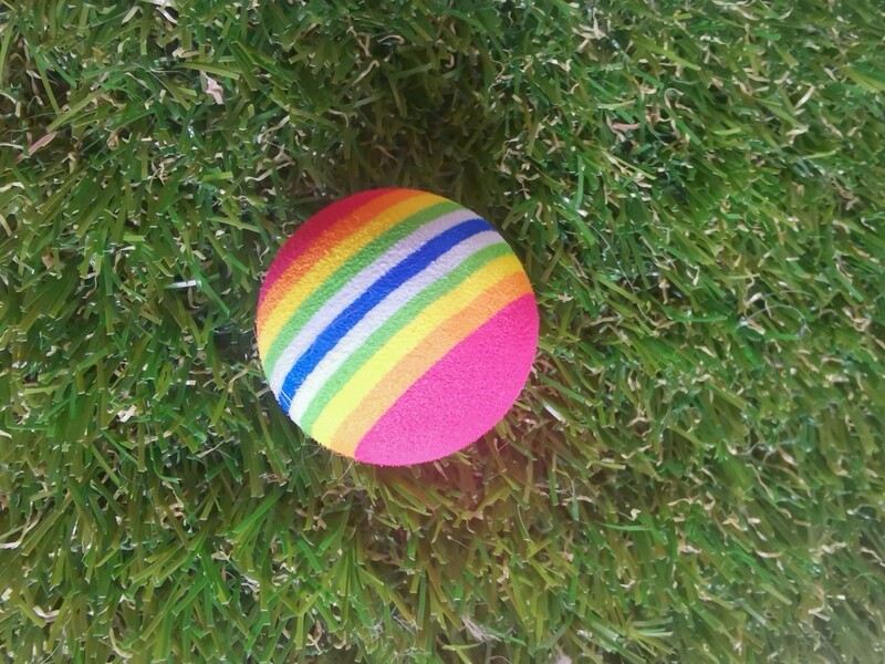 Juguete de bolita multicolor para erizo