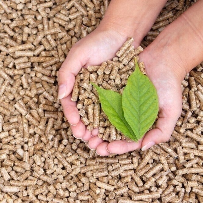 Arena ecológica Ecopets 7 kilos 