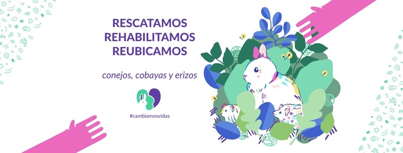 Donación para el albergue Rabitos y Orejitas