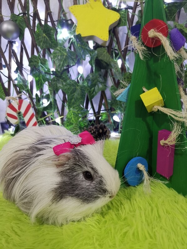 Juguete Arbol de Navidad