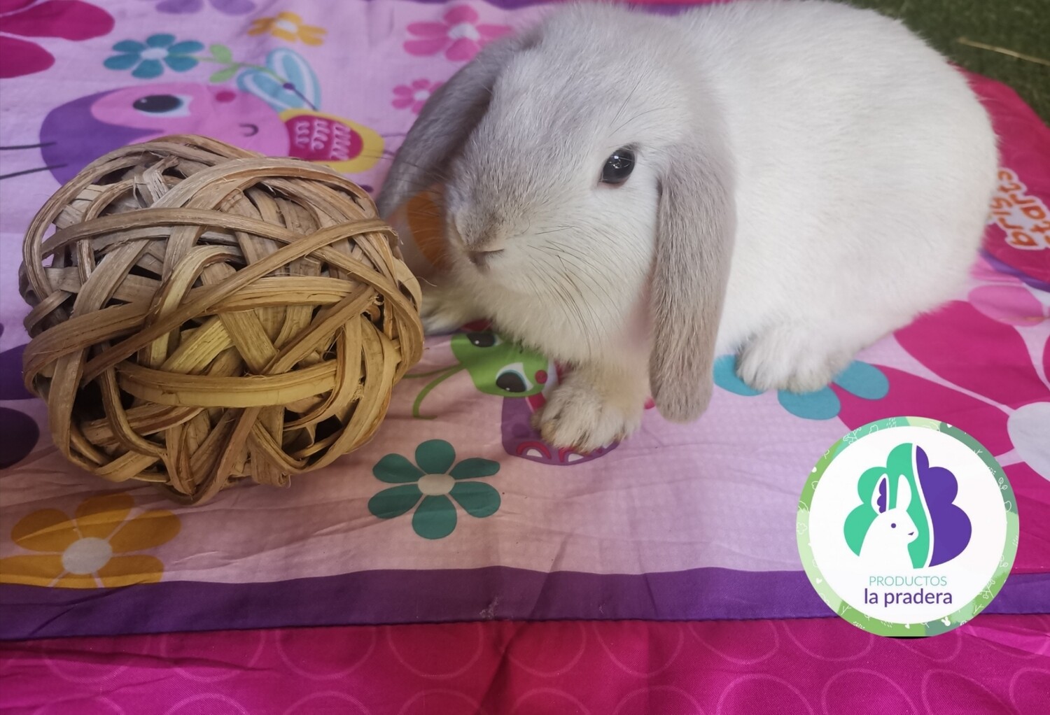 Bola grande de mimbre natural 10 cms