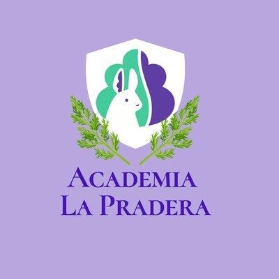APOYO EDUCATIVO  ACADEMIA LA PRADERA