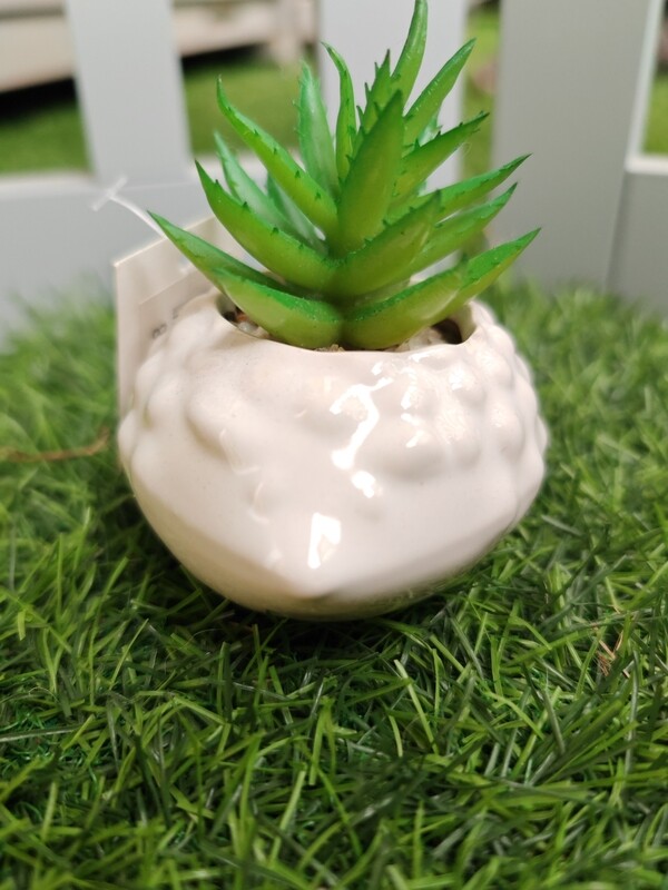 Erizo  de ceramica con suculenta artificial