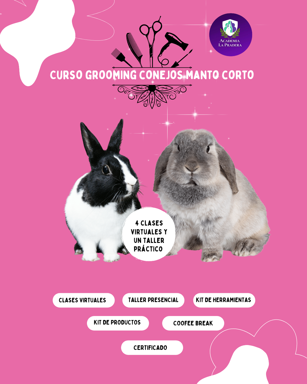 Curso de grooming para conejitos pelo corto