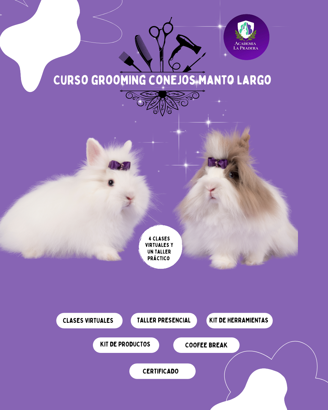 Curso grooming conejos manto largo