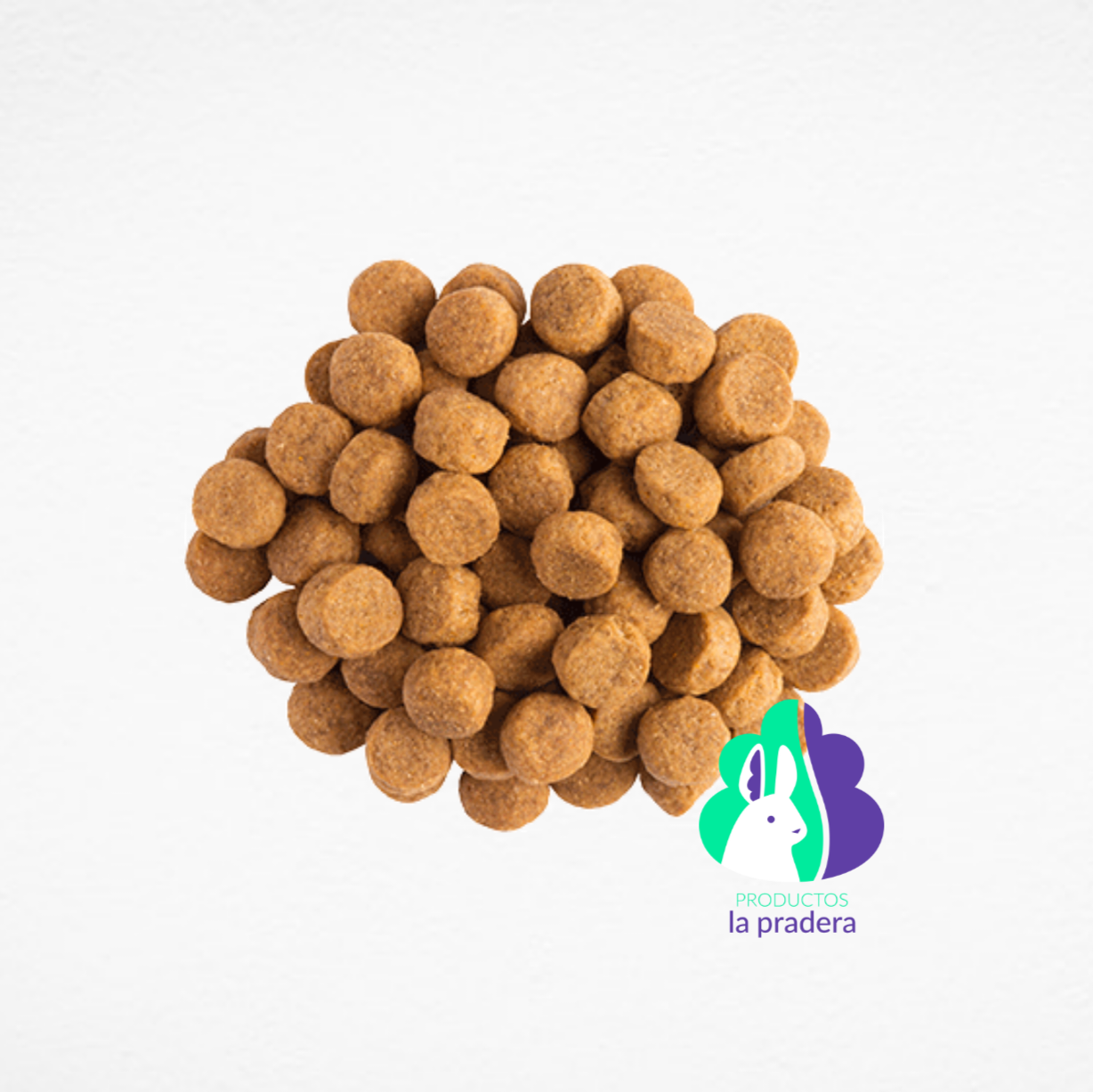 Galletas de  avena