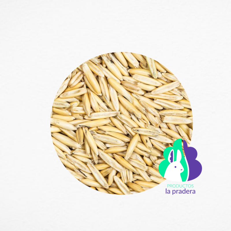 Avena integral con cáscara 