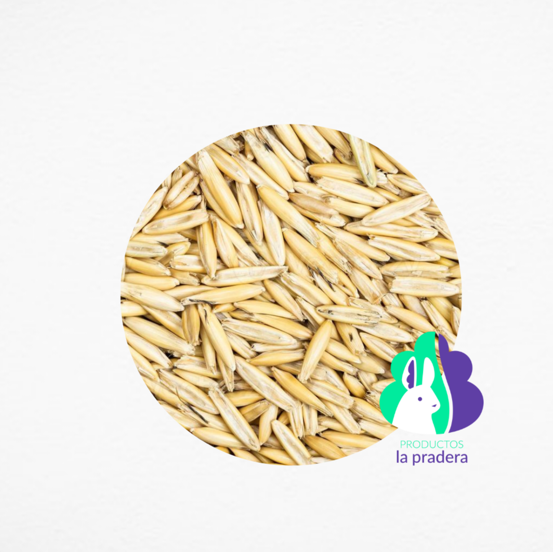 Avena integral con cáscara 