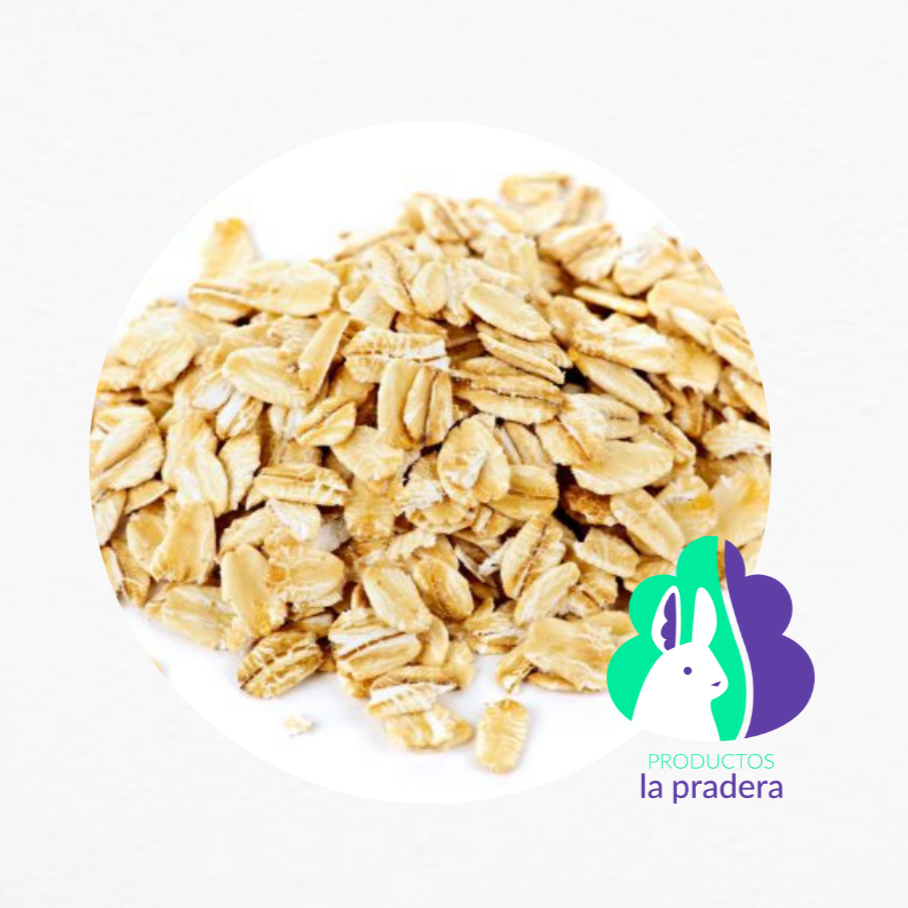 Avena integral orgánica