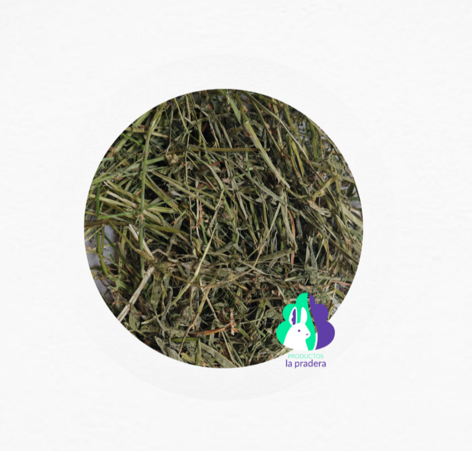 Heno Premium de alfalfa
