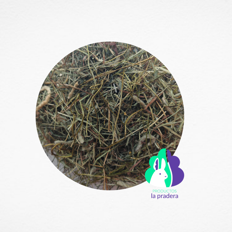 Heno Premium Herbal con Oregano