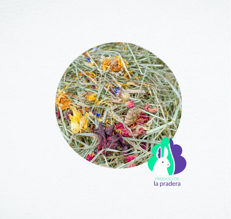 Heno Premium con Flores Mixtas