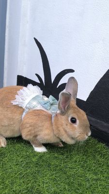 Ropa y accesorios