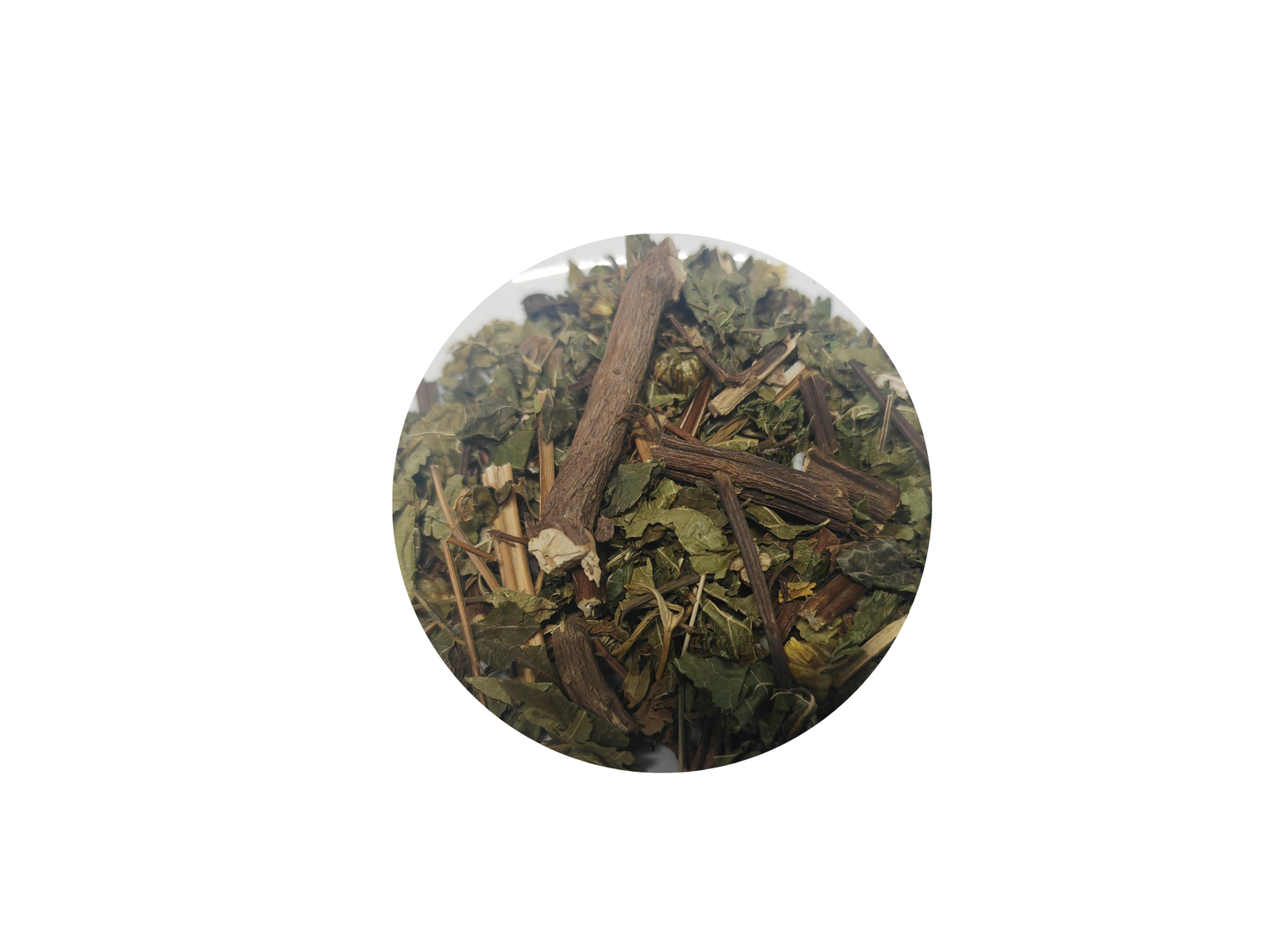 Raiz de diente de león