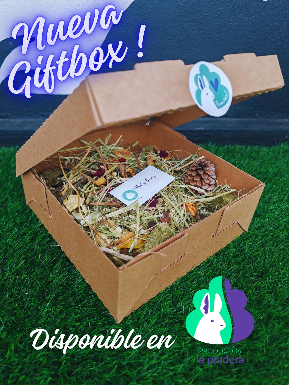 Caja de regalo ( Giftbox) 