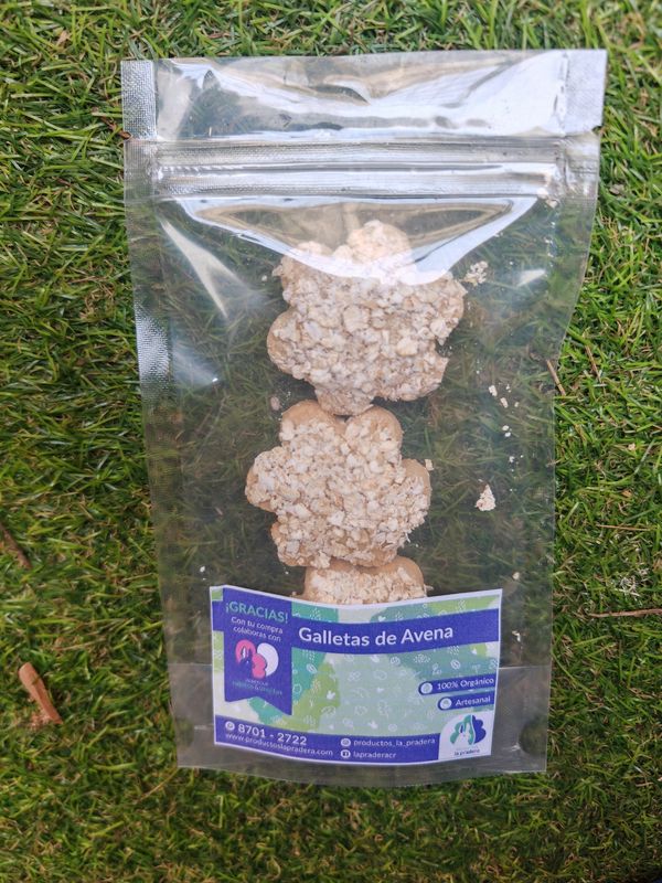Galletas de  avena ( trio) 