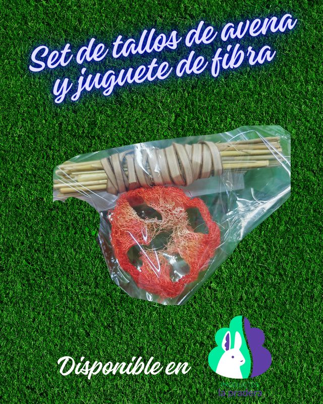 Set tallos de avena y juguete de fibra 