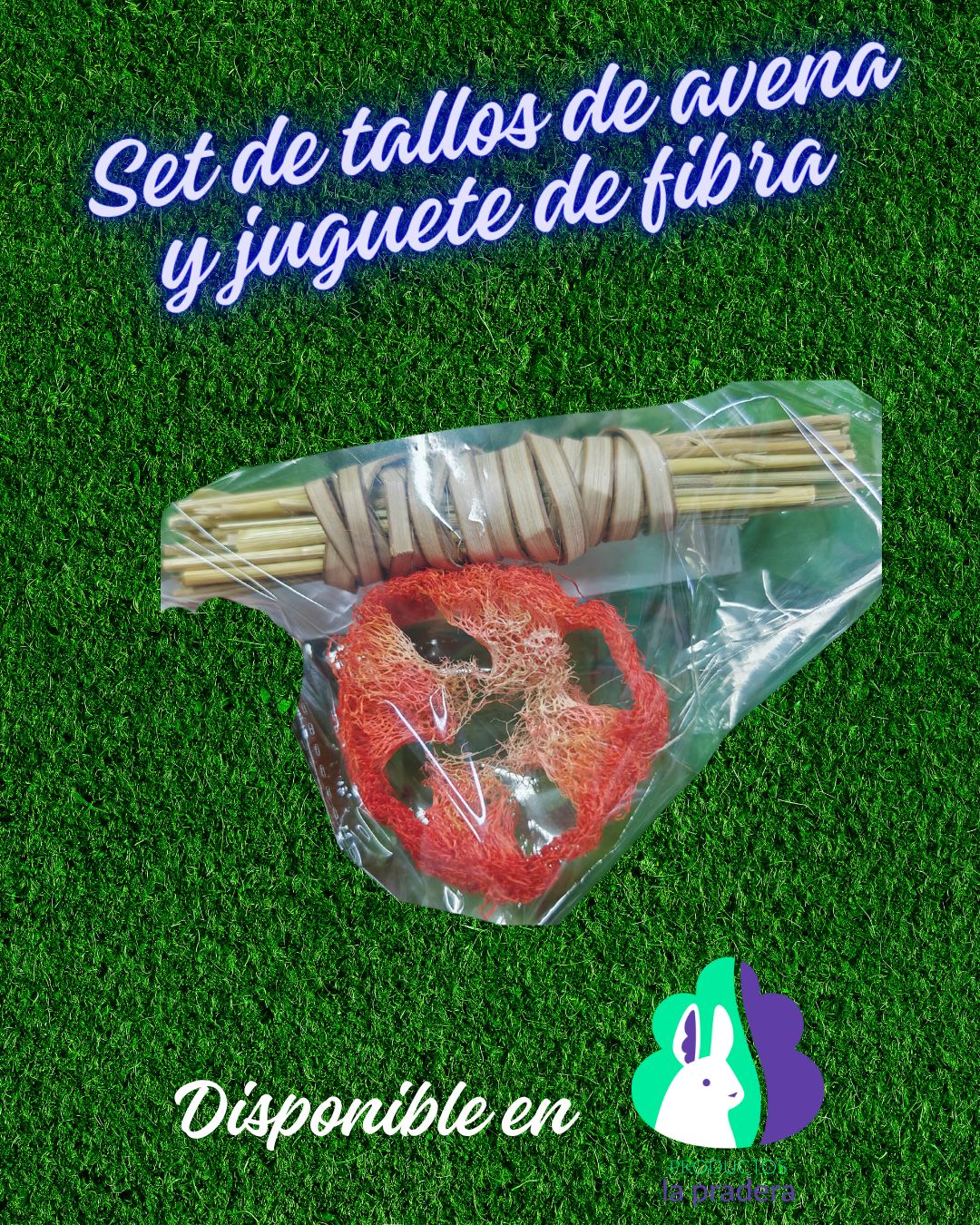 Set tallos de avena y juguete de fibra 