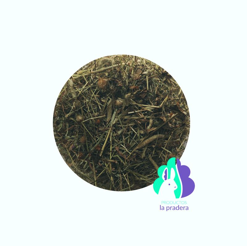 Heno Premium herbal diente de leon