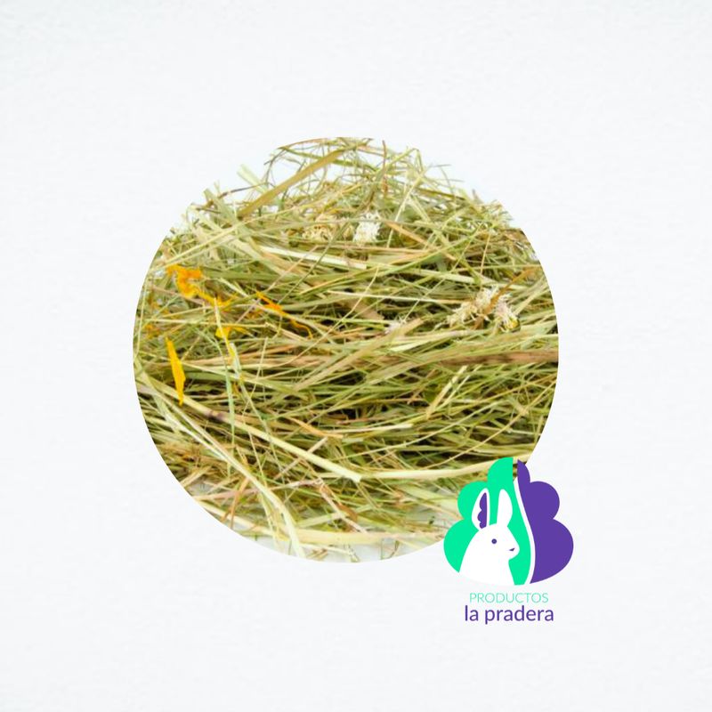 Heno Premium y timothy  con Diente  de León