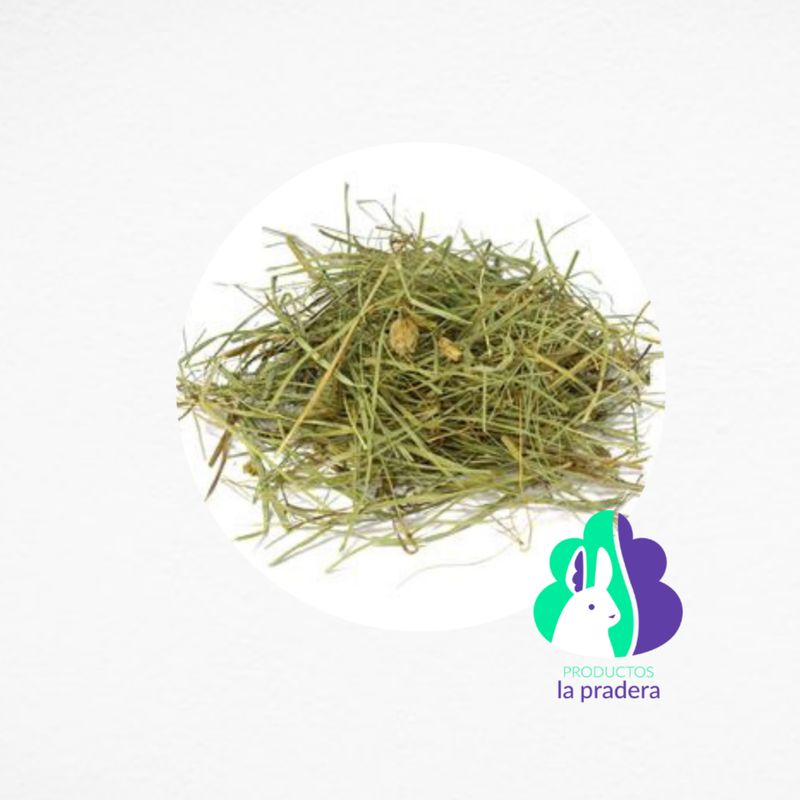 Heno Premium herbal manzanilla