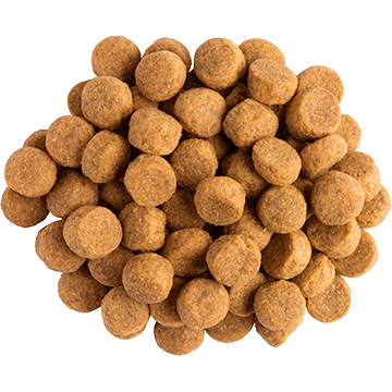 Galletas de Zanahoria