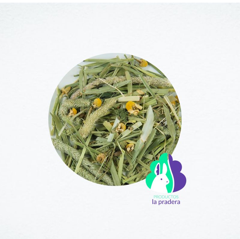 Heno Premium y tImothy con  Manzanilla