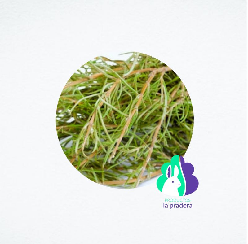 Heno Premium herbal romero