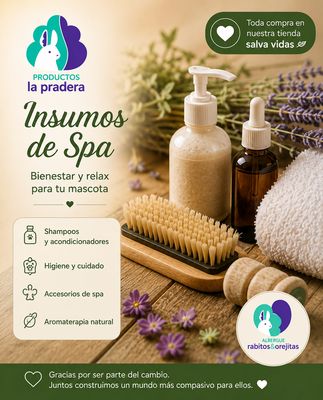 Spa y limpieza 