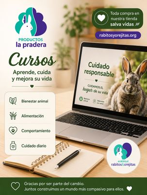 Cursos de Spa