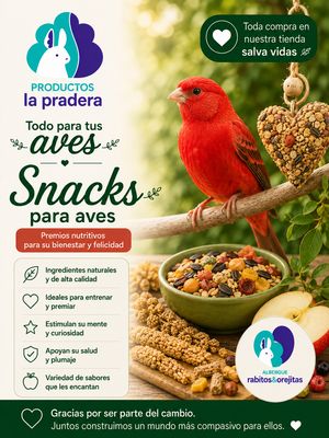 ALIMENTOS Y SNACKS