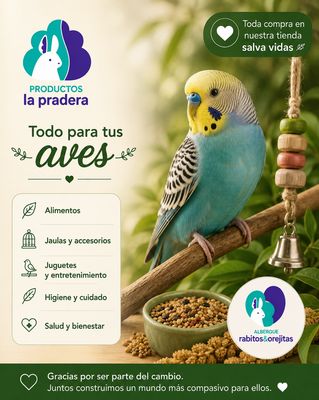Aves