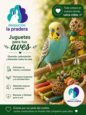 Juguetes