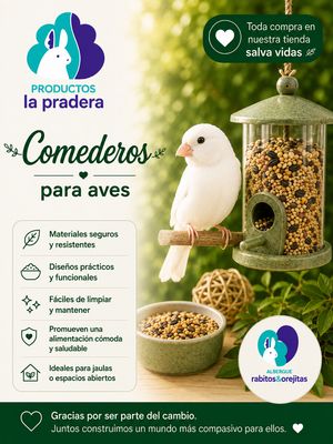 COMEDEROS