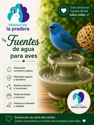 Fuentes de agua