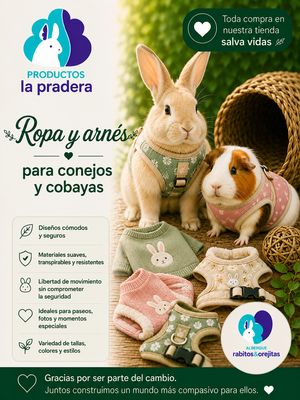 Ropa y accesorios