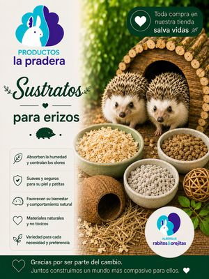 Sustratos