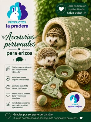 Accesorios personales