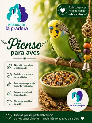 Piensos