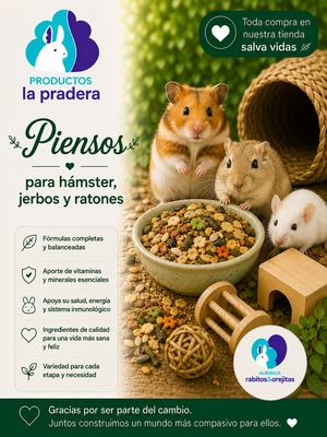 Pienso