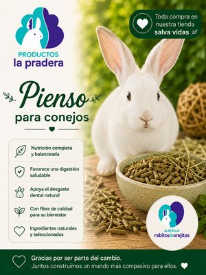 Pienso para conejos 