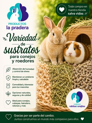 Literas y sustratos 