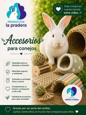 Accesorios personales