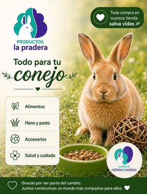 Conejos