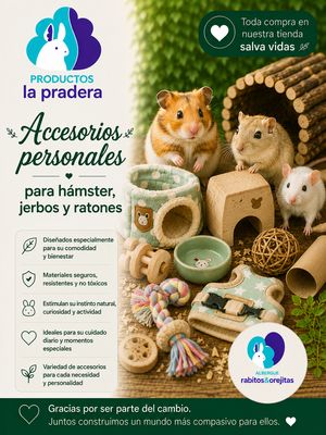 ACCESORIOS